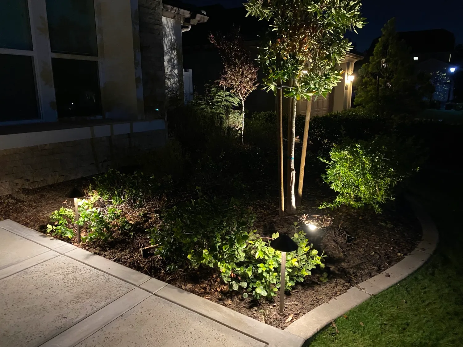 Landscape bed with path lights and tree uplighting